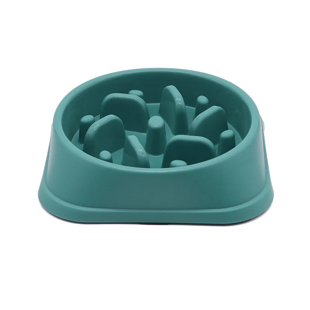 Slow Eating Feeders For Dogs