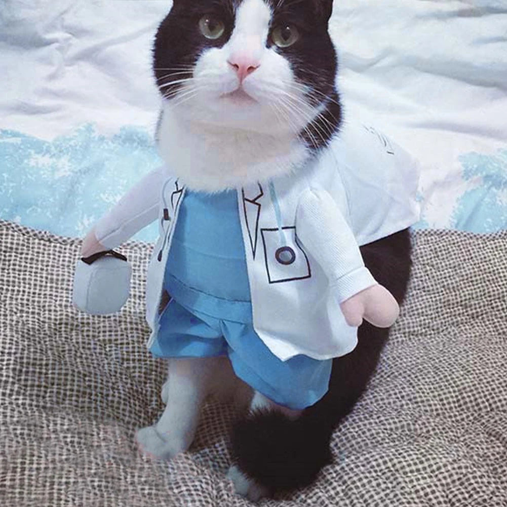 Halloween Doctor Cat Costume