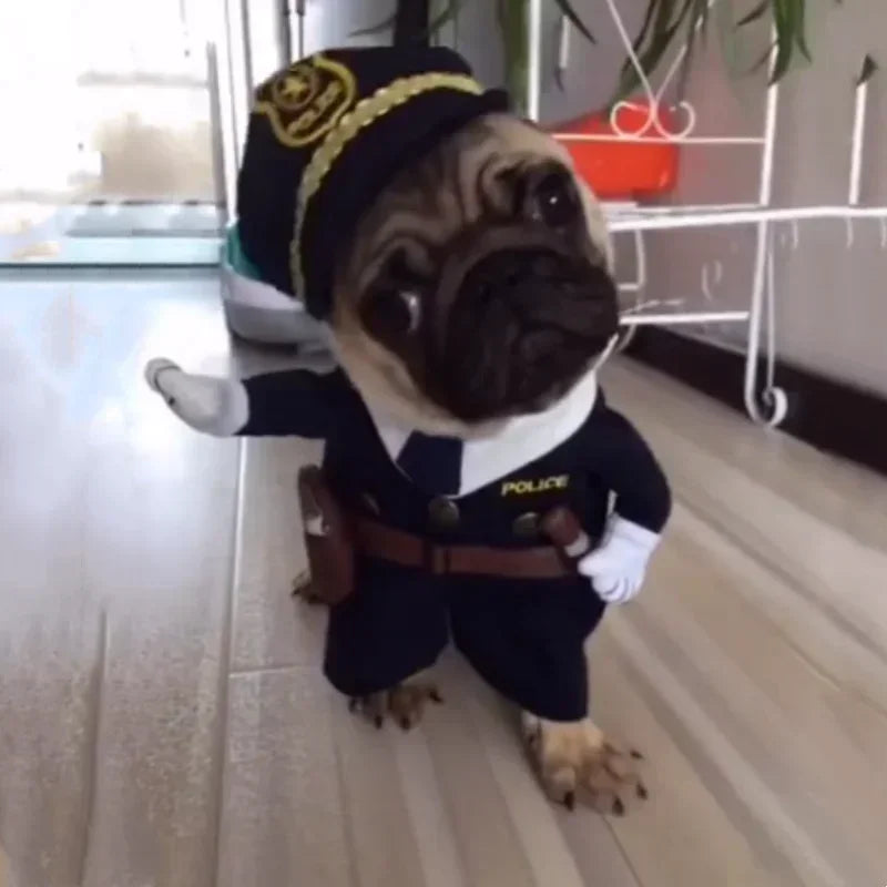 Scary Doll Dog Halloween Costume