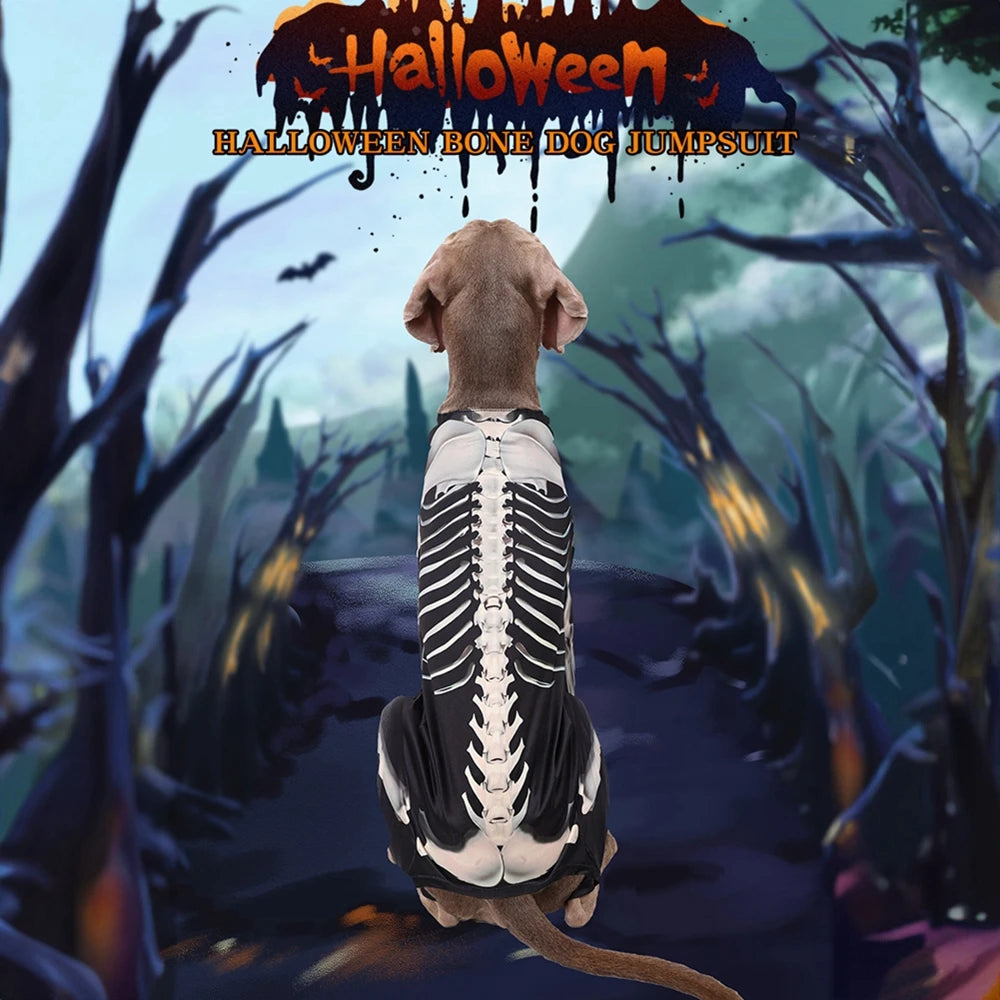 Halloween Skeleton Dog Costumes for larger dogs