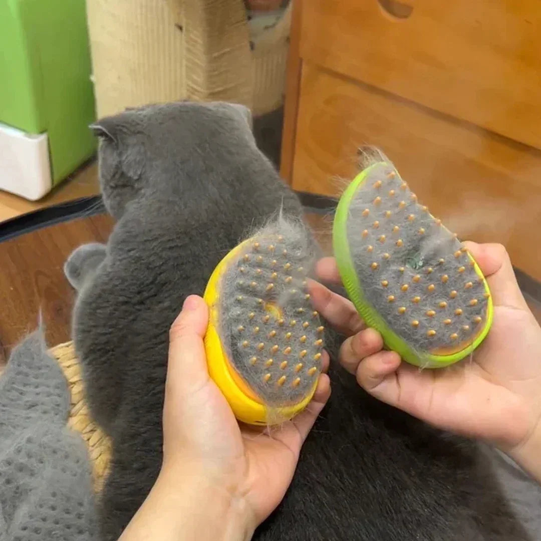 Cat Dog Steamy Brush Steam
