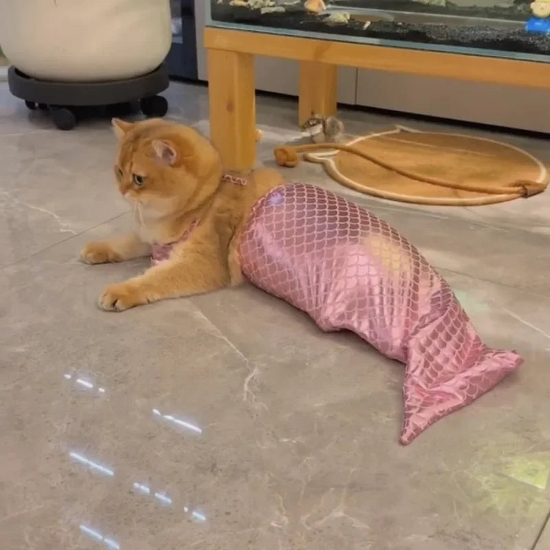 Mermaid Cat/Dog Halloween Costume