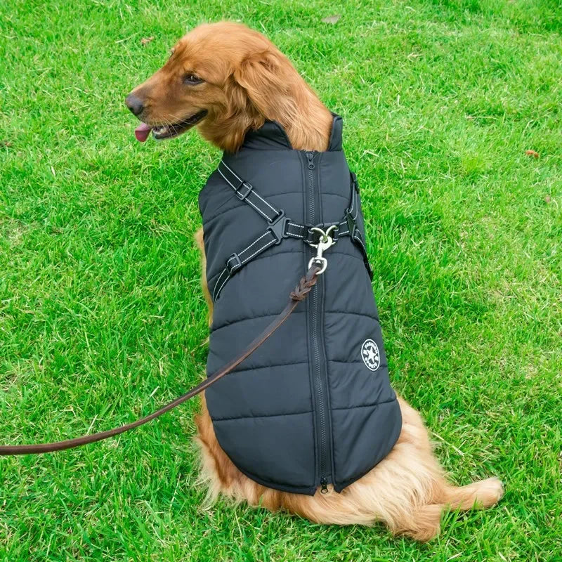 Waterproof Dog Jacket with Harness