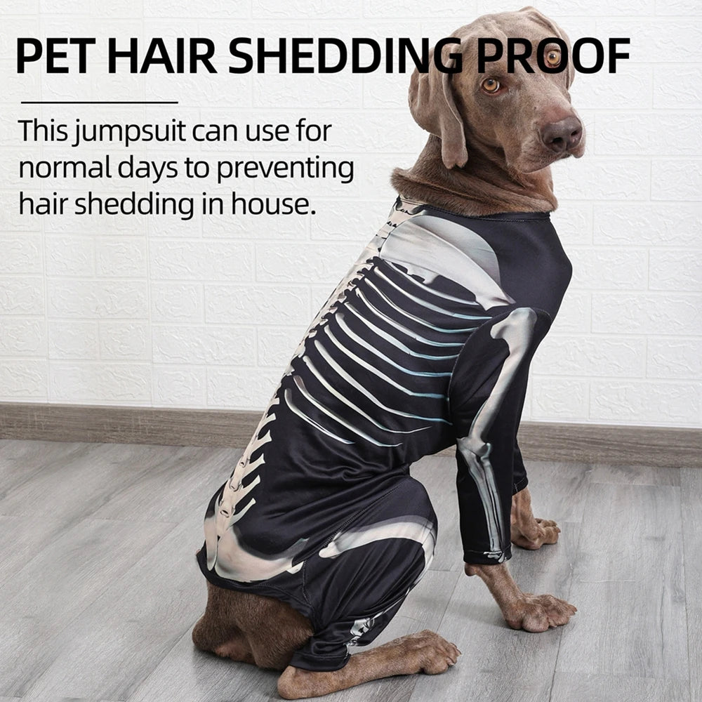 Halloween Skeleton Dog Costumes for larger dogs