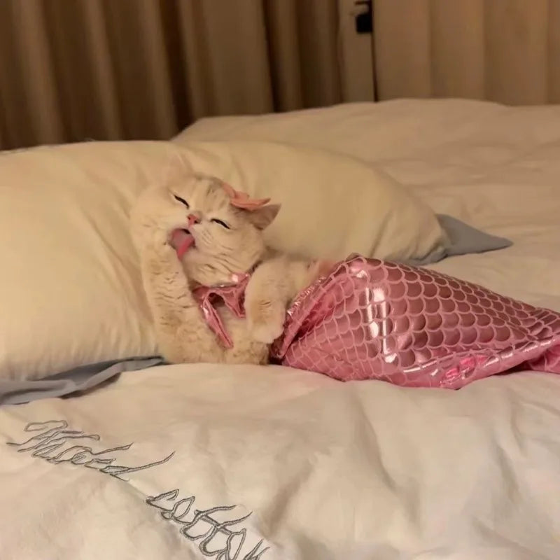 Mermaid Cat/Dog Halloween Costume