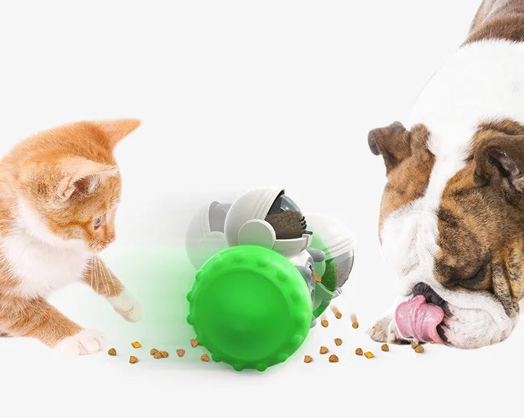Bone Chew Toy & Treat Dispenser