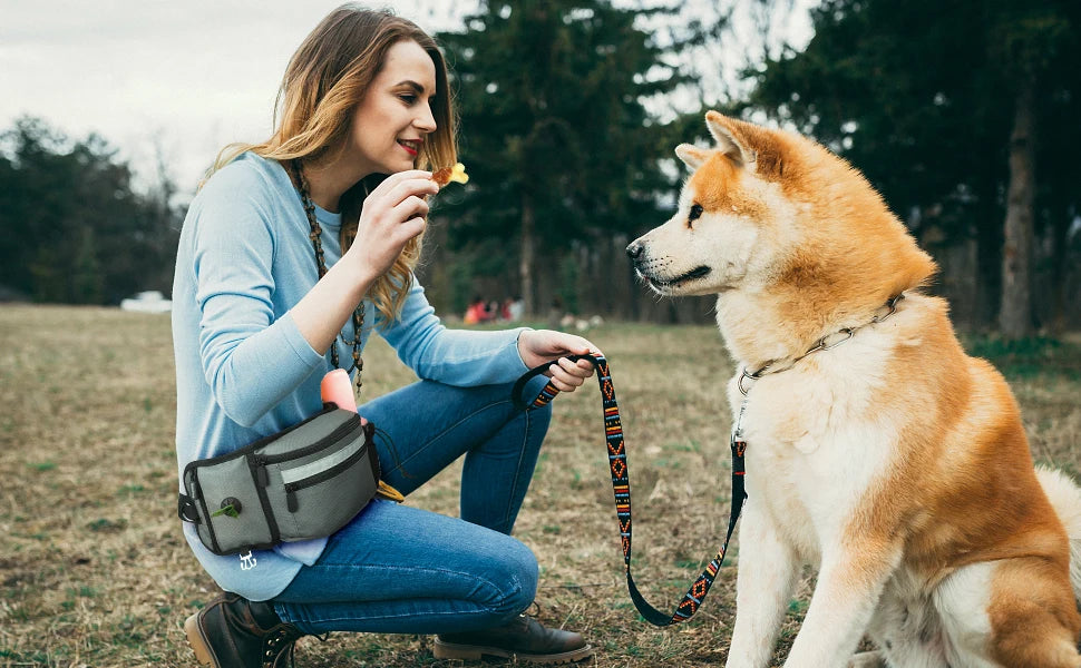 Dog Treat Bag For Training