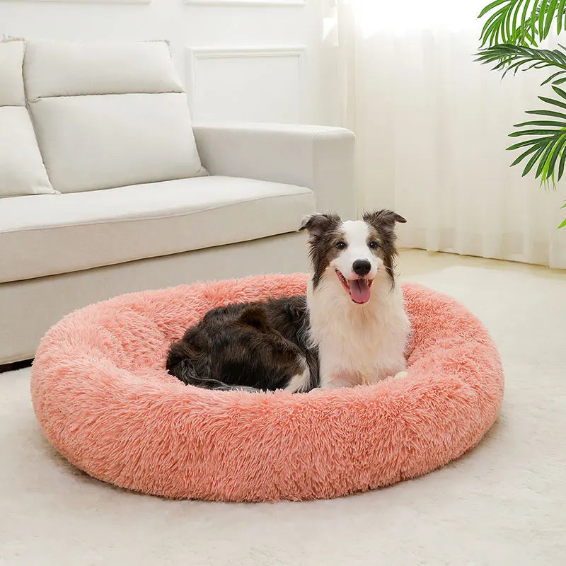 Soft Dog Beds House Soft