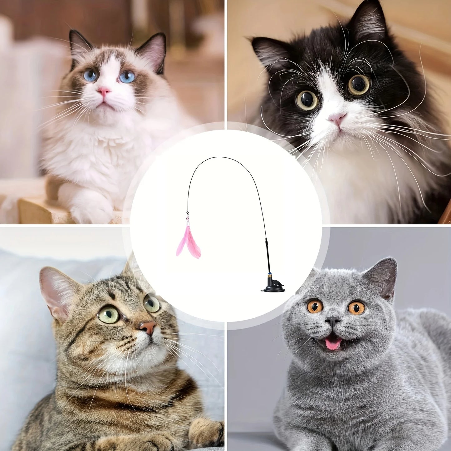 Cat Teaser Toy - Interactive