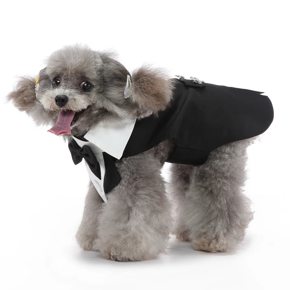 Dog Tuxedo Halloween Costume