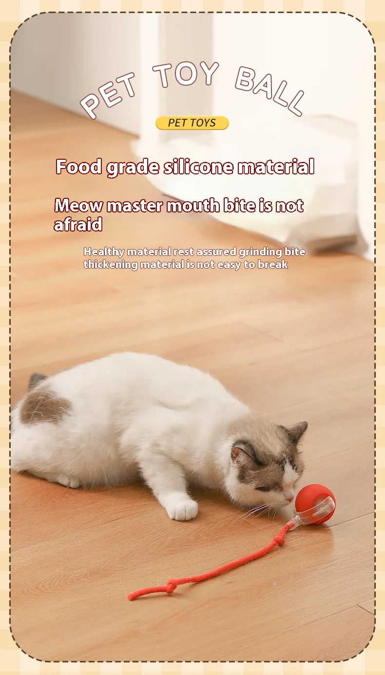 Interactive Electric Ball Cat Toy