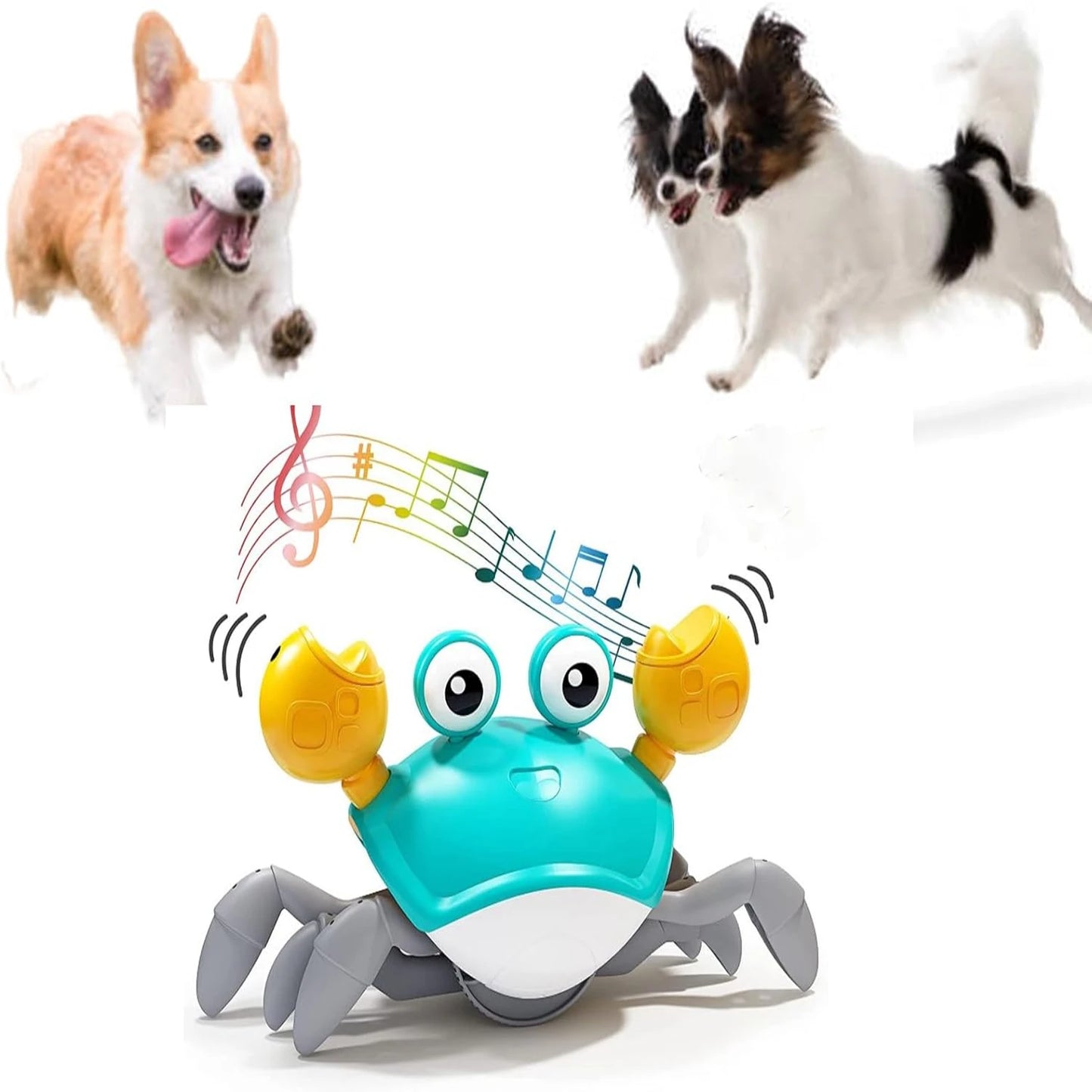 Engaging and Interactive Dancing Crab Dog Toy with Musical Sounds