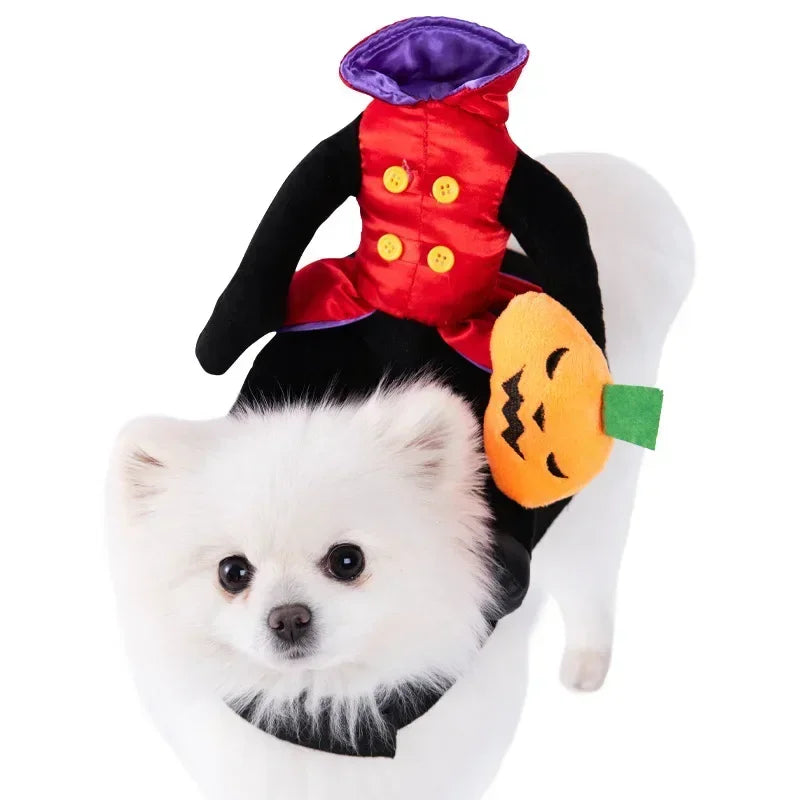 Halloween Pumpkin Dog Costume