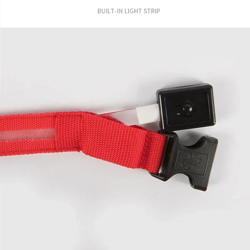 USB-Rechargeable LED Safety Collar