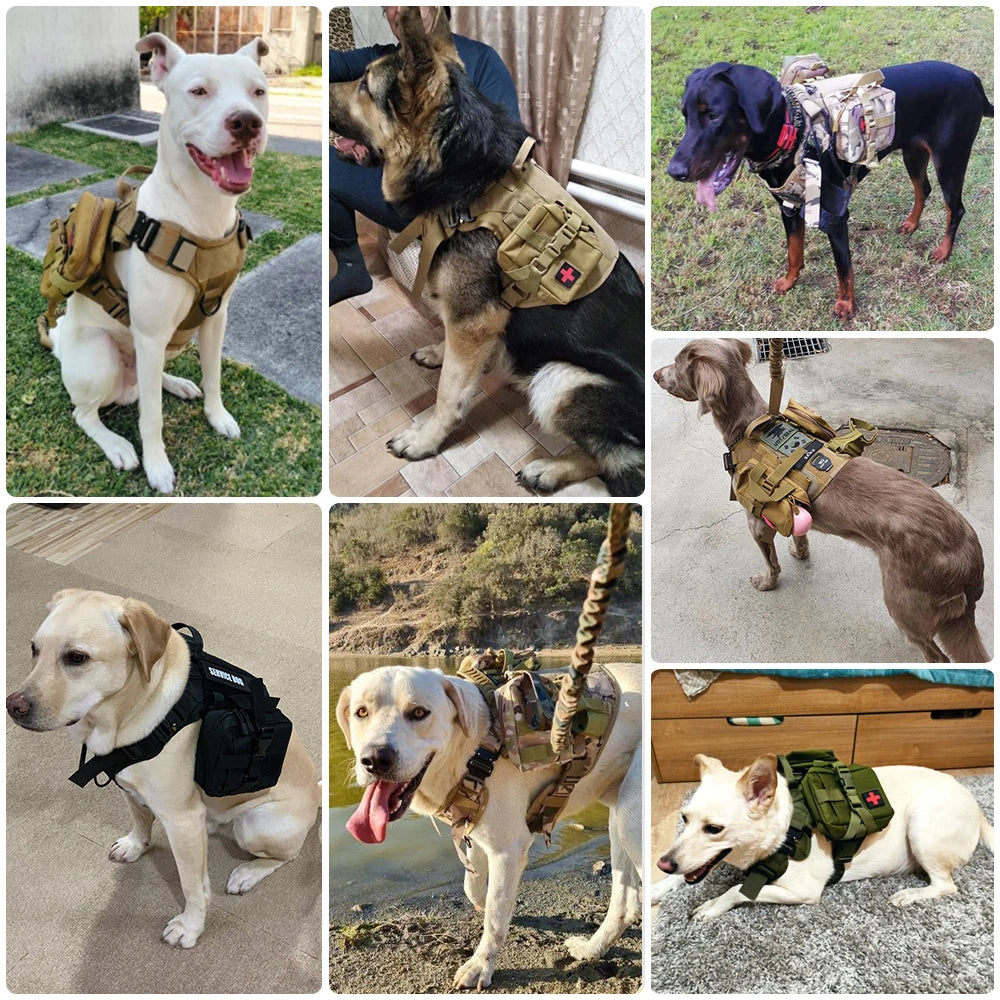 Military Large Dog Harness Collar