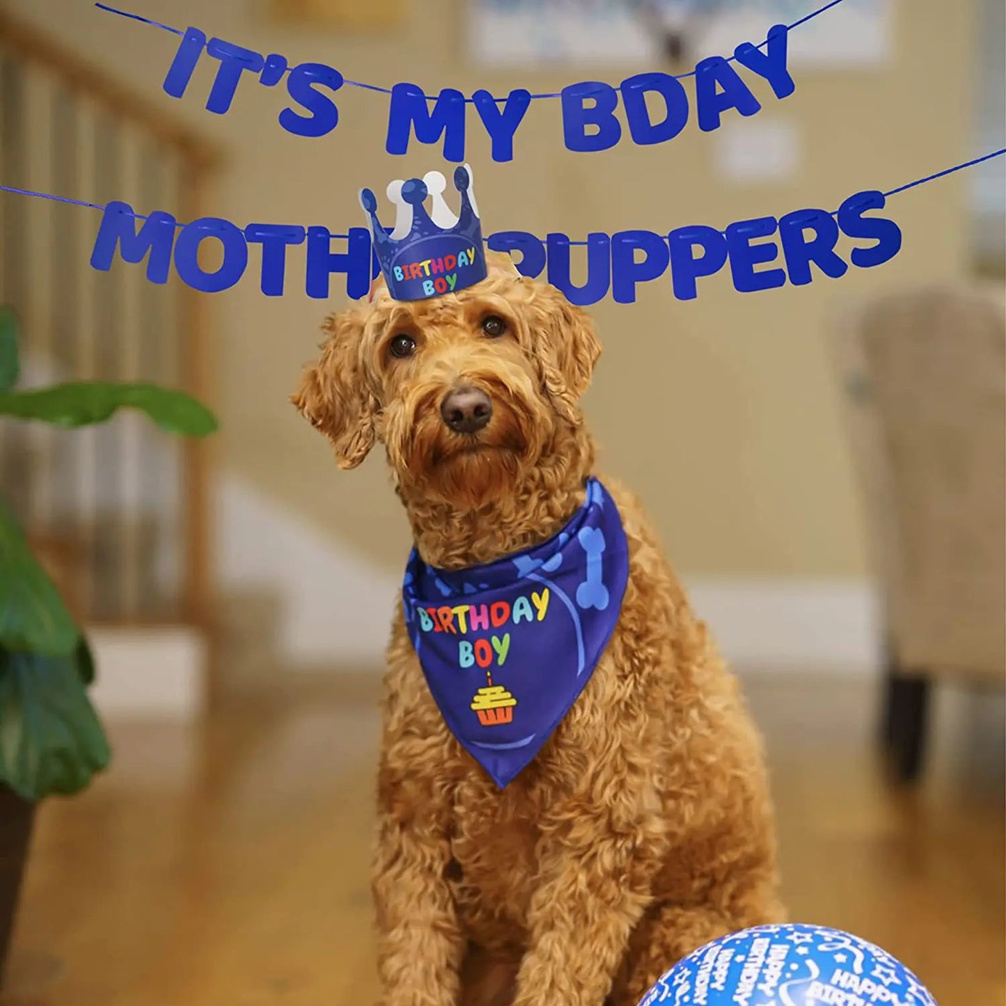 Pet Birthday Party Flag Decoration