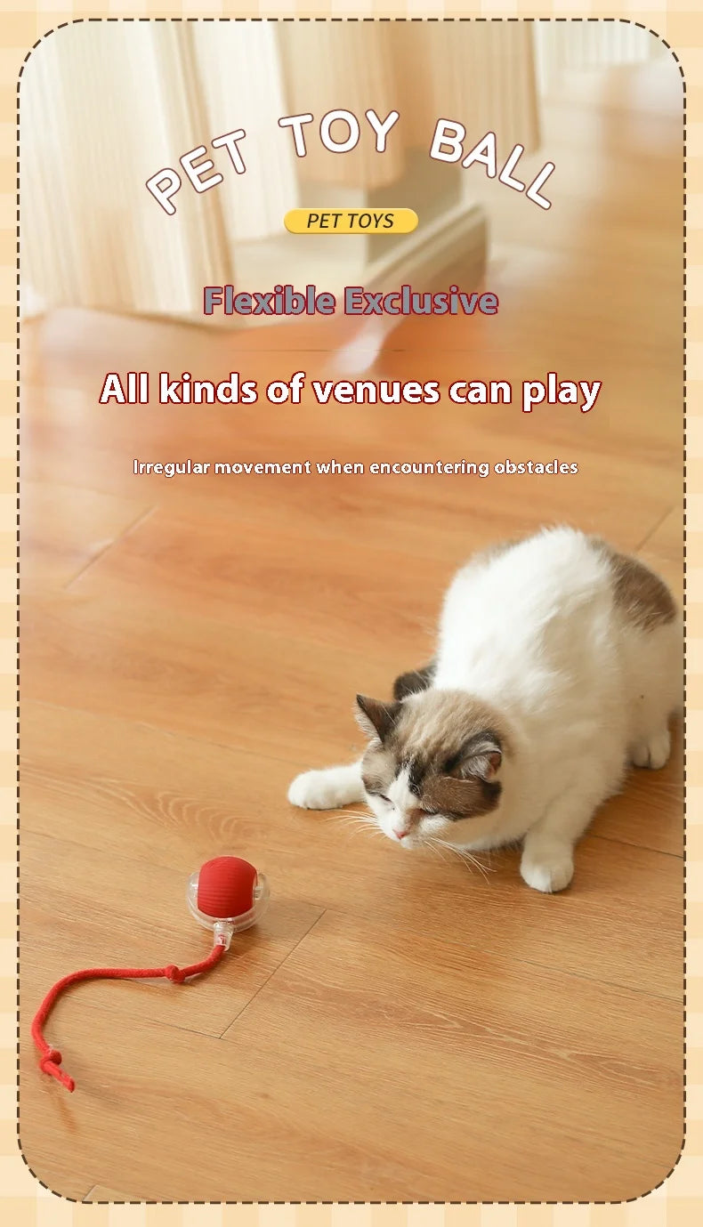 Interactive Electric Ball Cat Toy