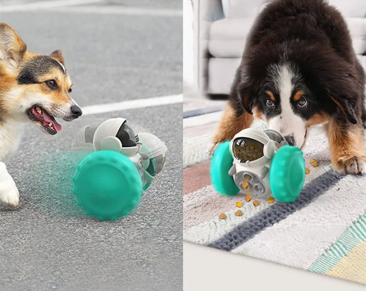 Bone Chew Toy & Treat Dispenser