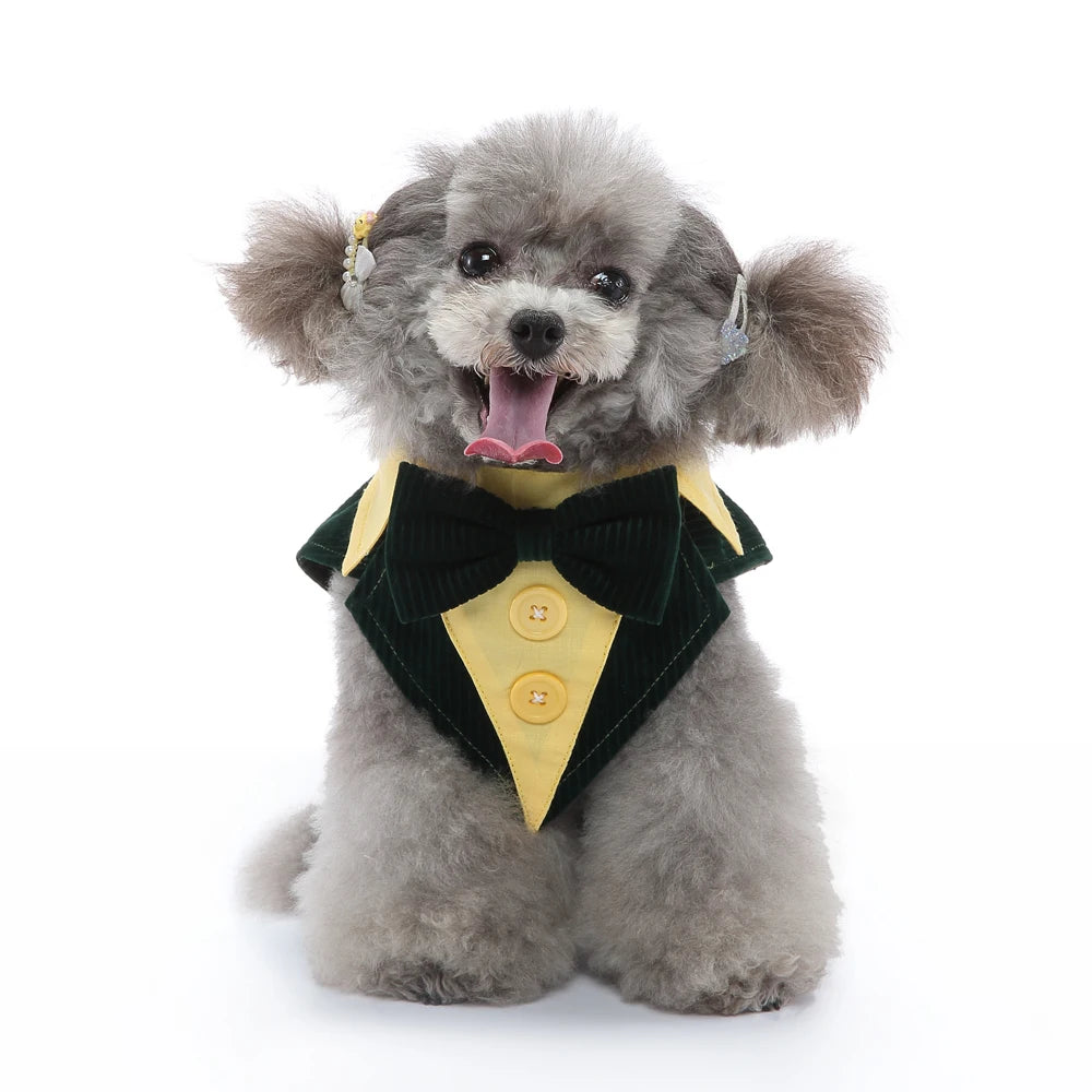 Dog Tuxedo Halloween Costume