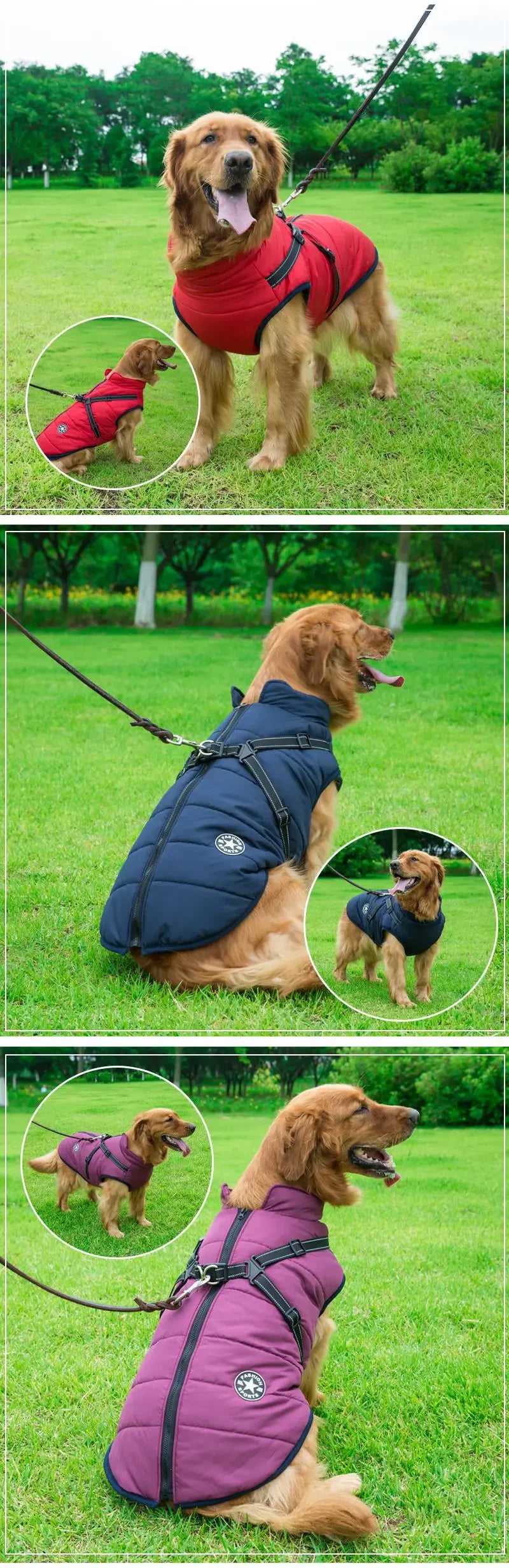 Waterproof Dog Jacket with Harness
