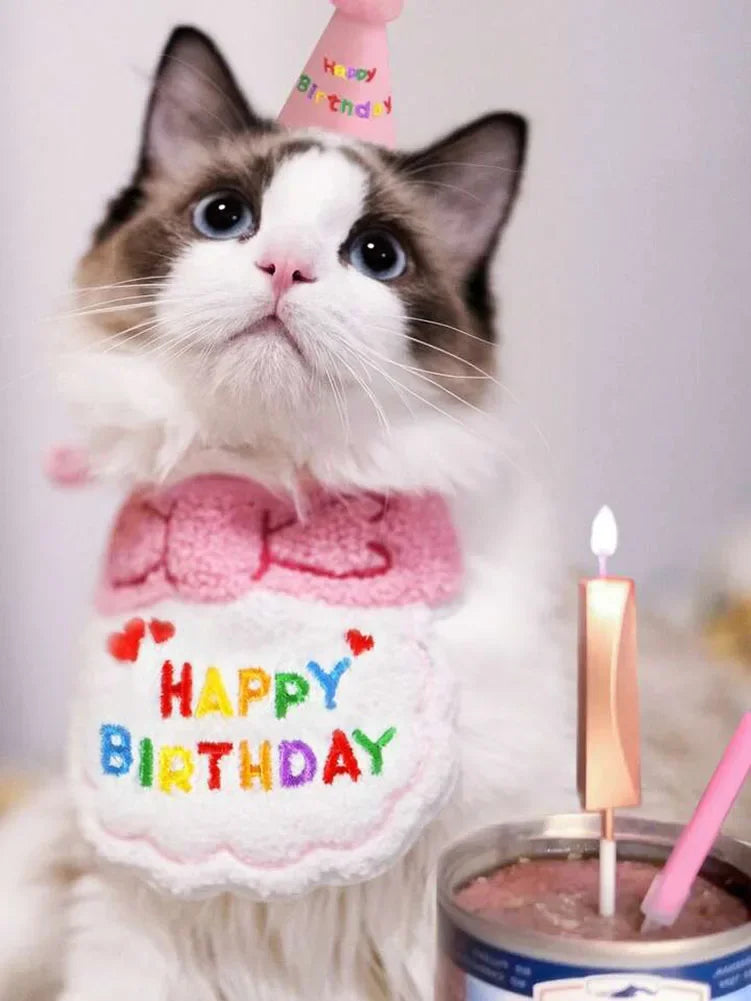 Cat Dog Birthday Bib And