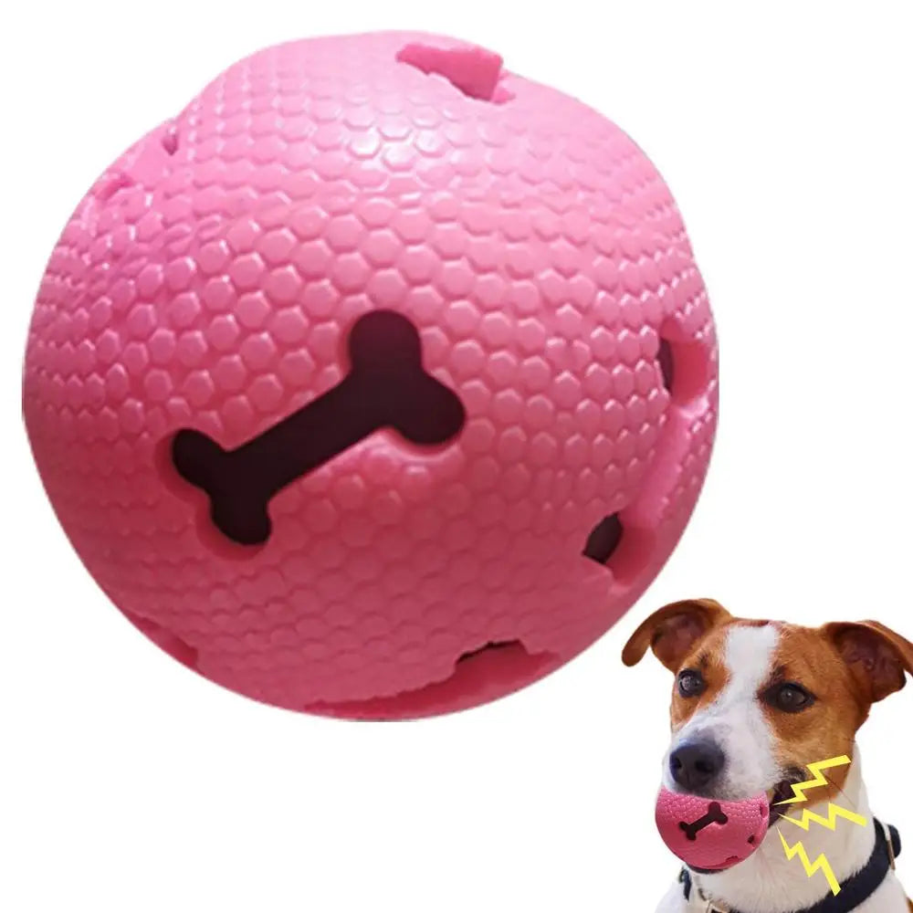 Bone Chew Toy & Treat Dispenser