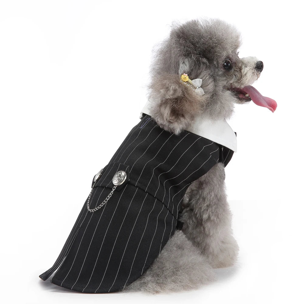 Dog Tuxedo Halloween Costume