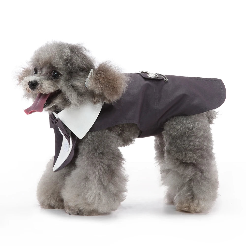 Dog Tuxedo Halloween Costume