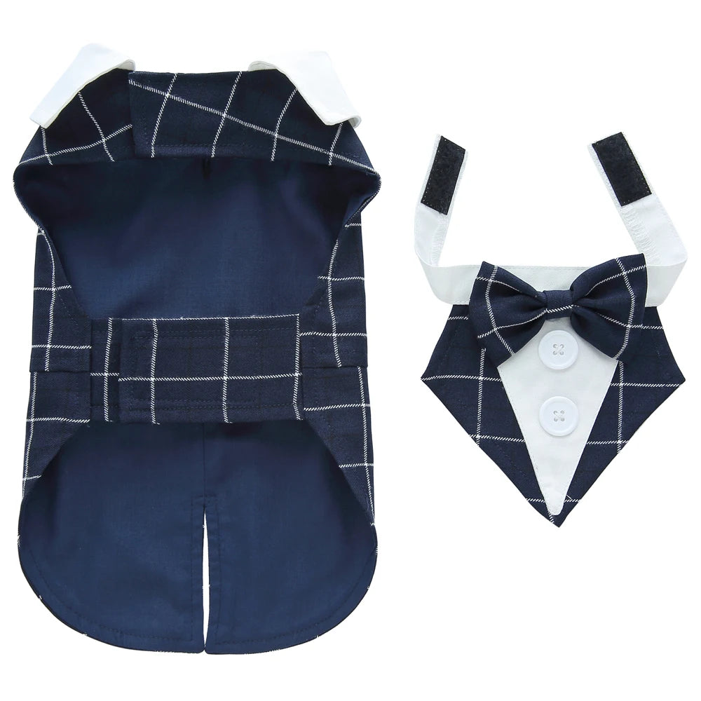 Dog Tuxedo Halloween Costume