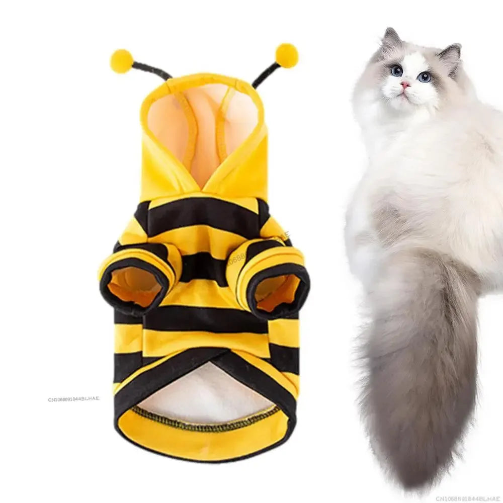 Halloween Dog Bee Costume