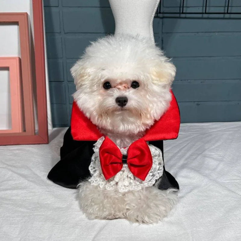 Dog Halloween Vampire Costume