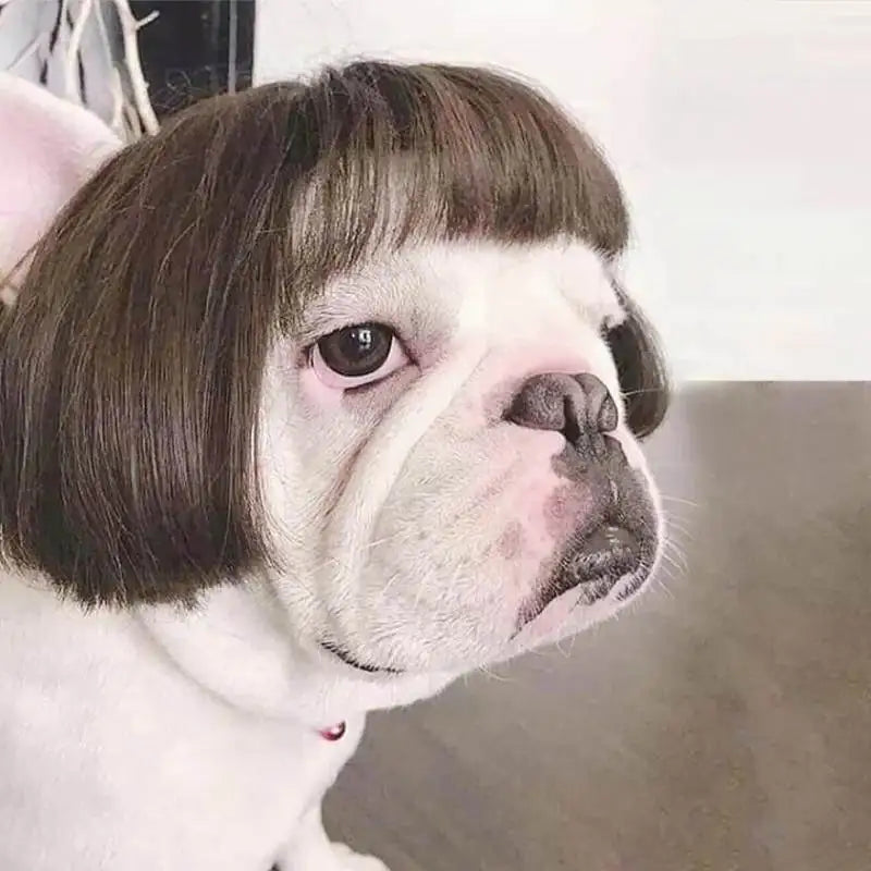 Funny Karen Wig for Dogs – Hilarious Halloween Costume