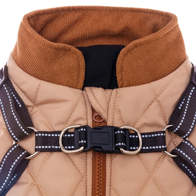 Winter Dog Jacket