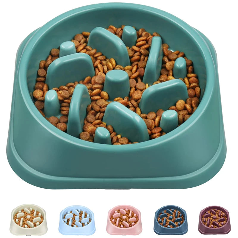 Slow Eating Feeders For Dogs
