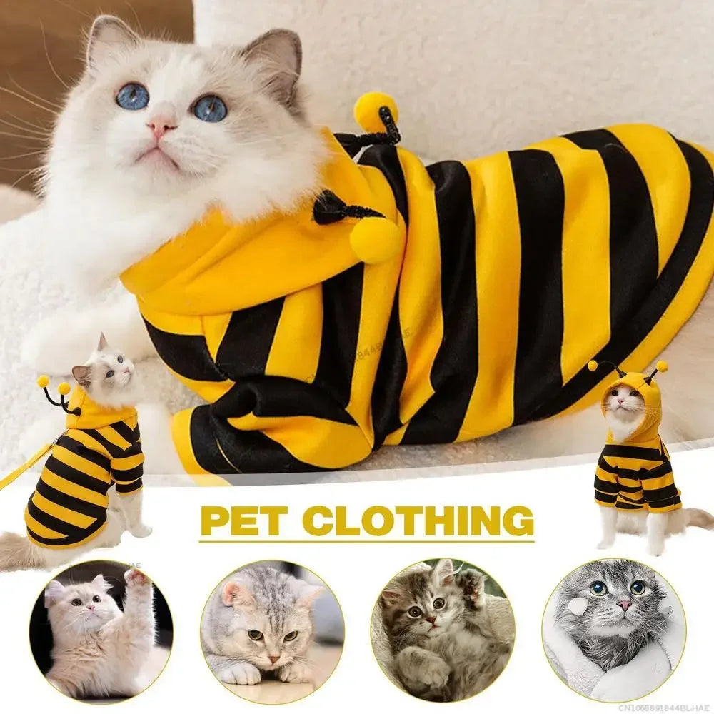 Halloween Dog Bee Costume