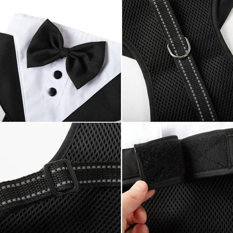 Dogs Tuxedo Wedding Party Suit