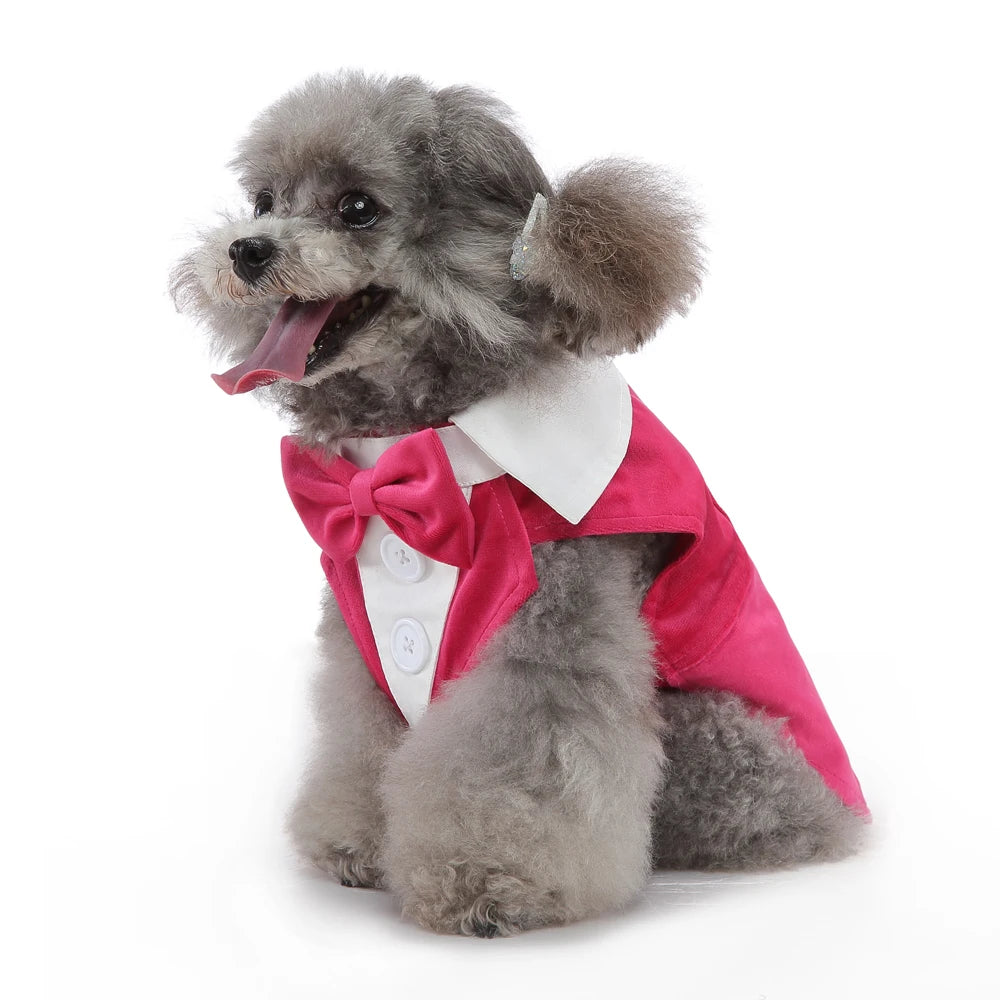 Dog Tuxedo Halloween Costume