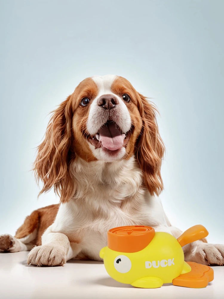 Dog Puzzle Feeder Interactive Pet Food Treat Dispenser Carto