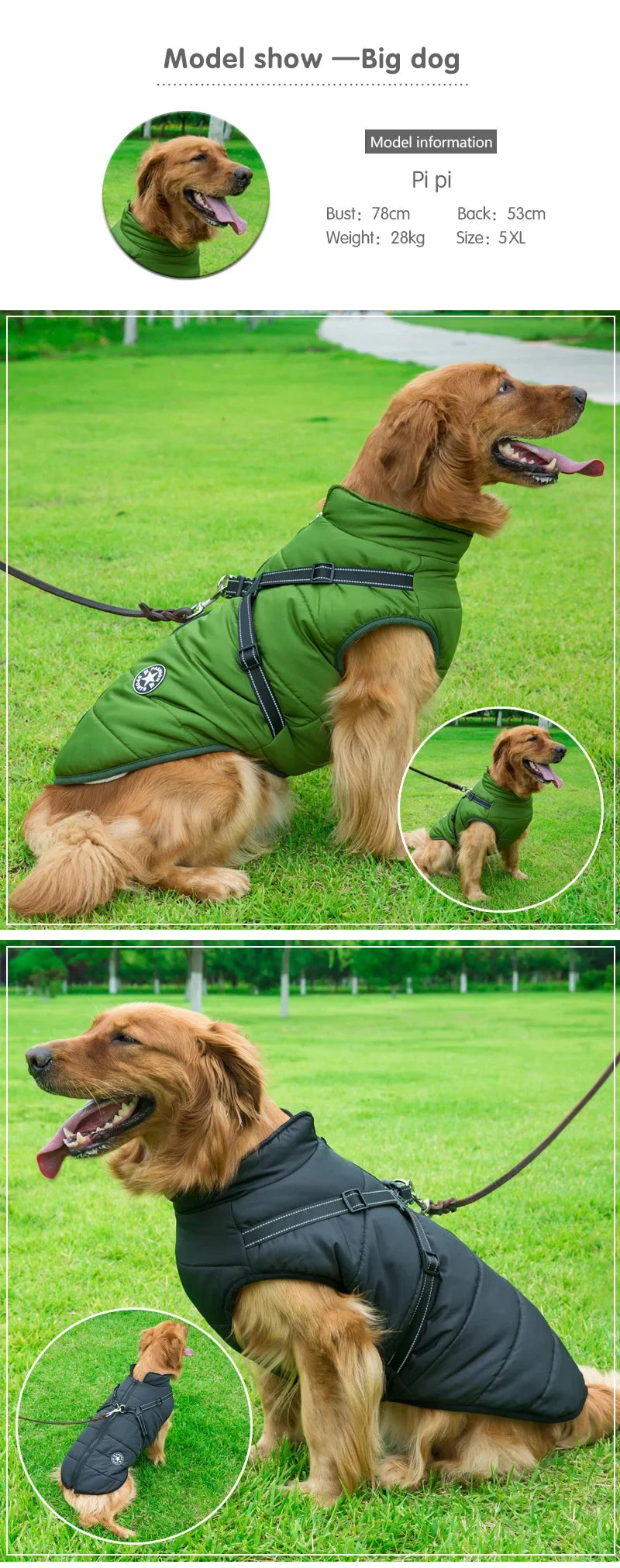 Waterproof Dog Jacket with Harness