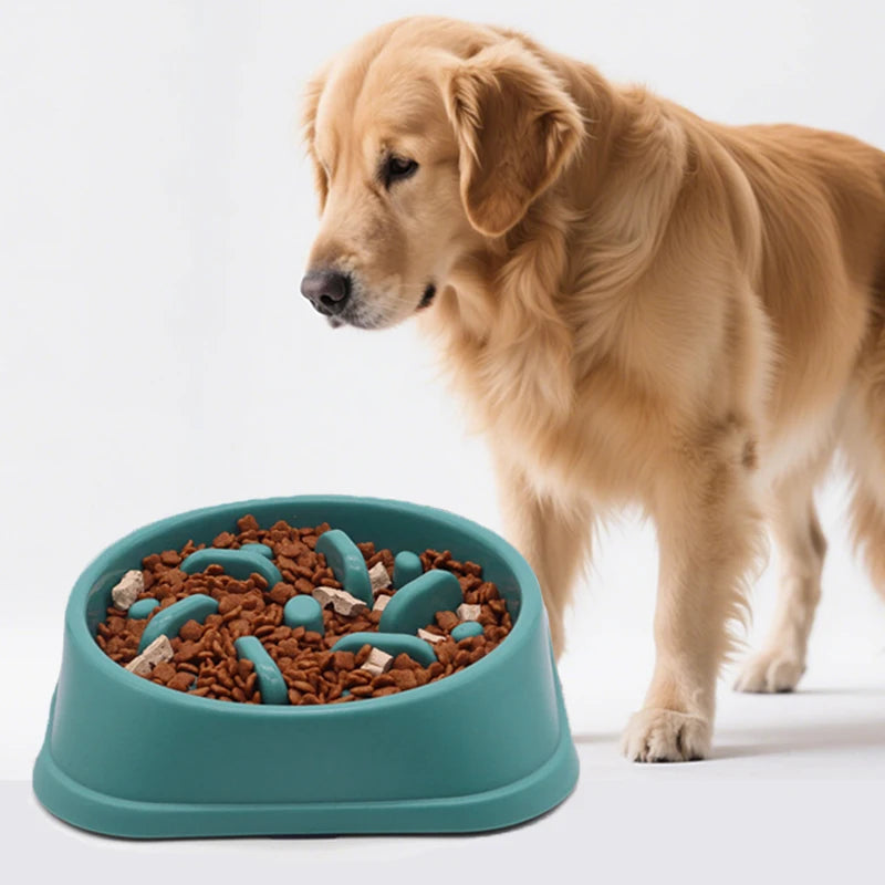 Slow Eating Feeders For Dogs