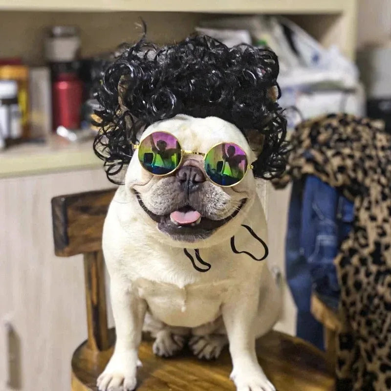Funny Karen Wig for Dogs – Hilarious Halloween Costume