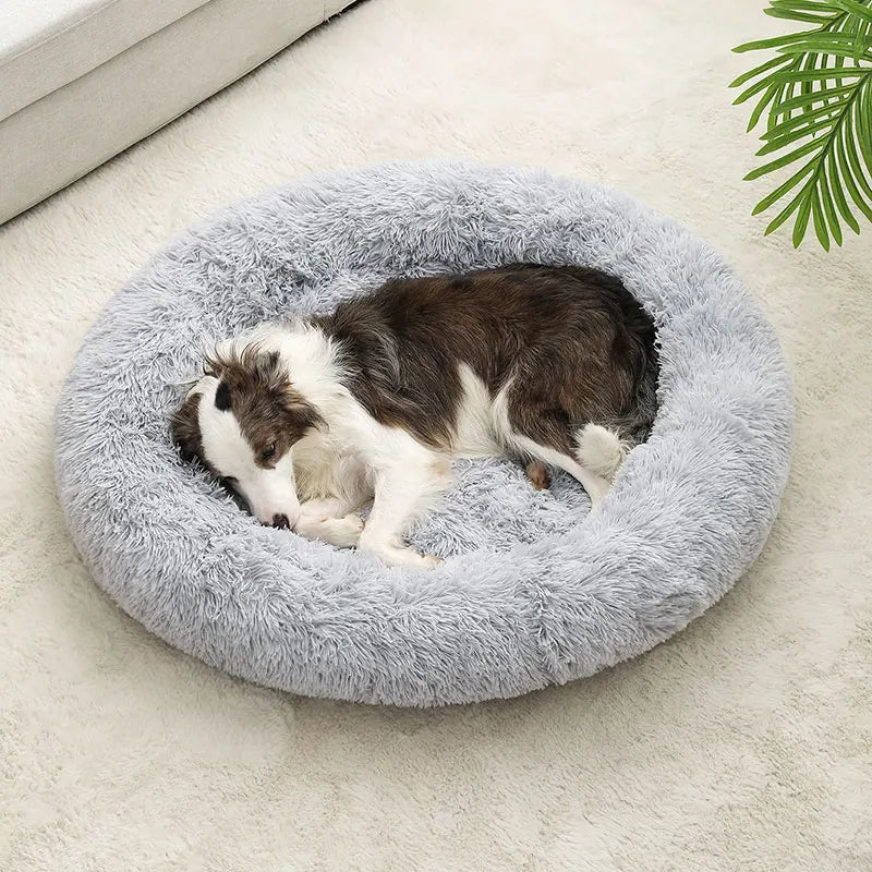 Soft Dog Beds House Soft