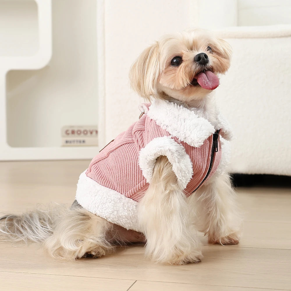 Winter Dog Jacket