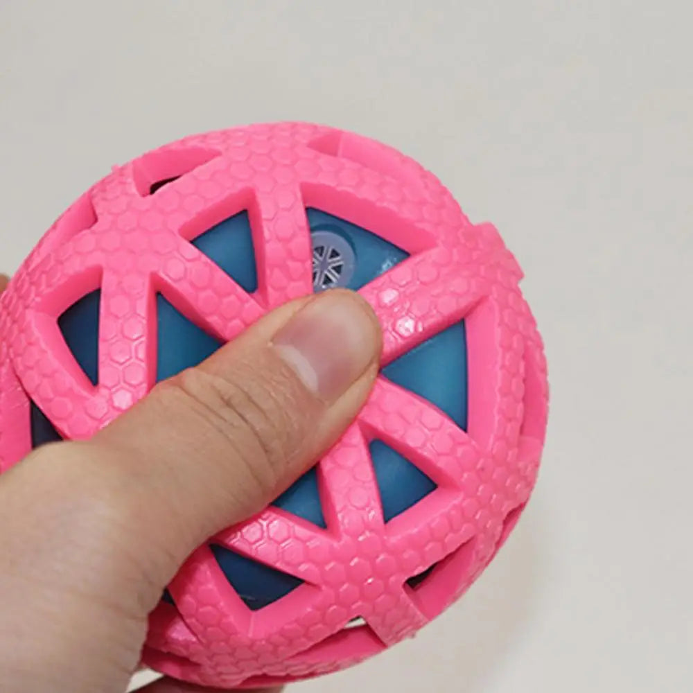 Bone Chew Toy & Treat Dispenser