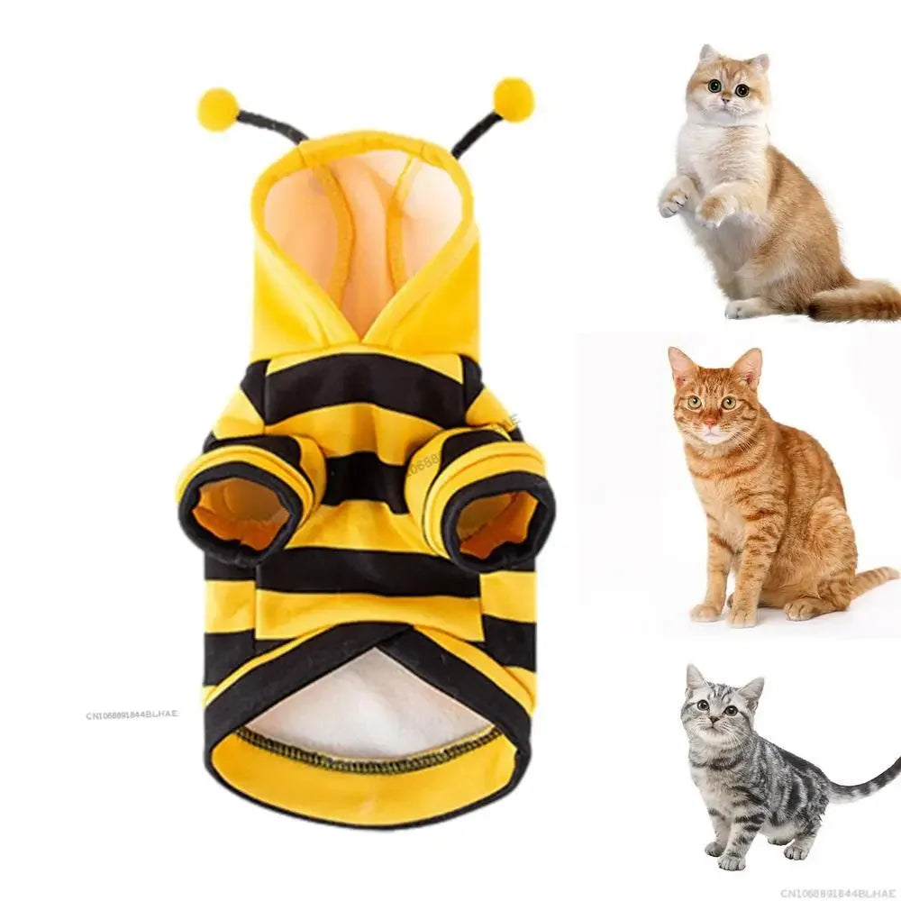 Halloween Dog Bee Costume