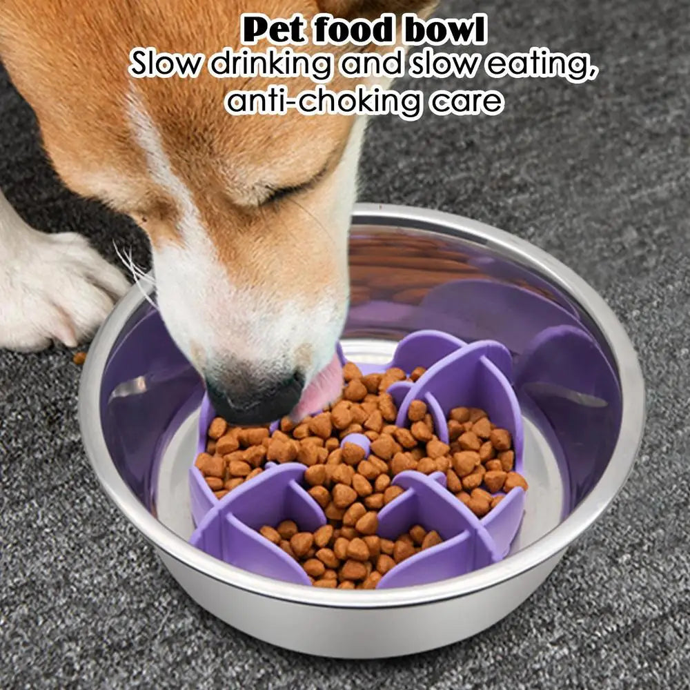 Pet Bowl Slow Feeder |