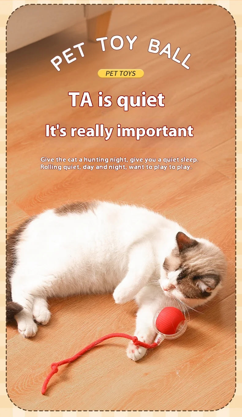 Interactive Electric Ball Cat Toy
