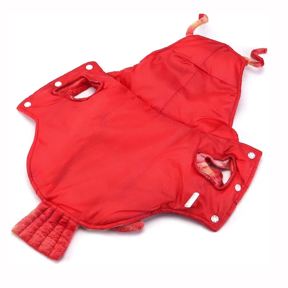 Halloween Dog Lobster Costume