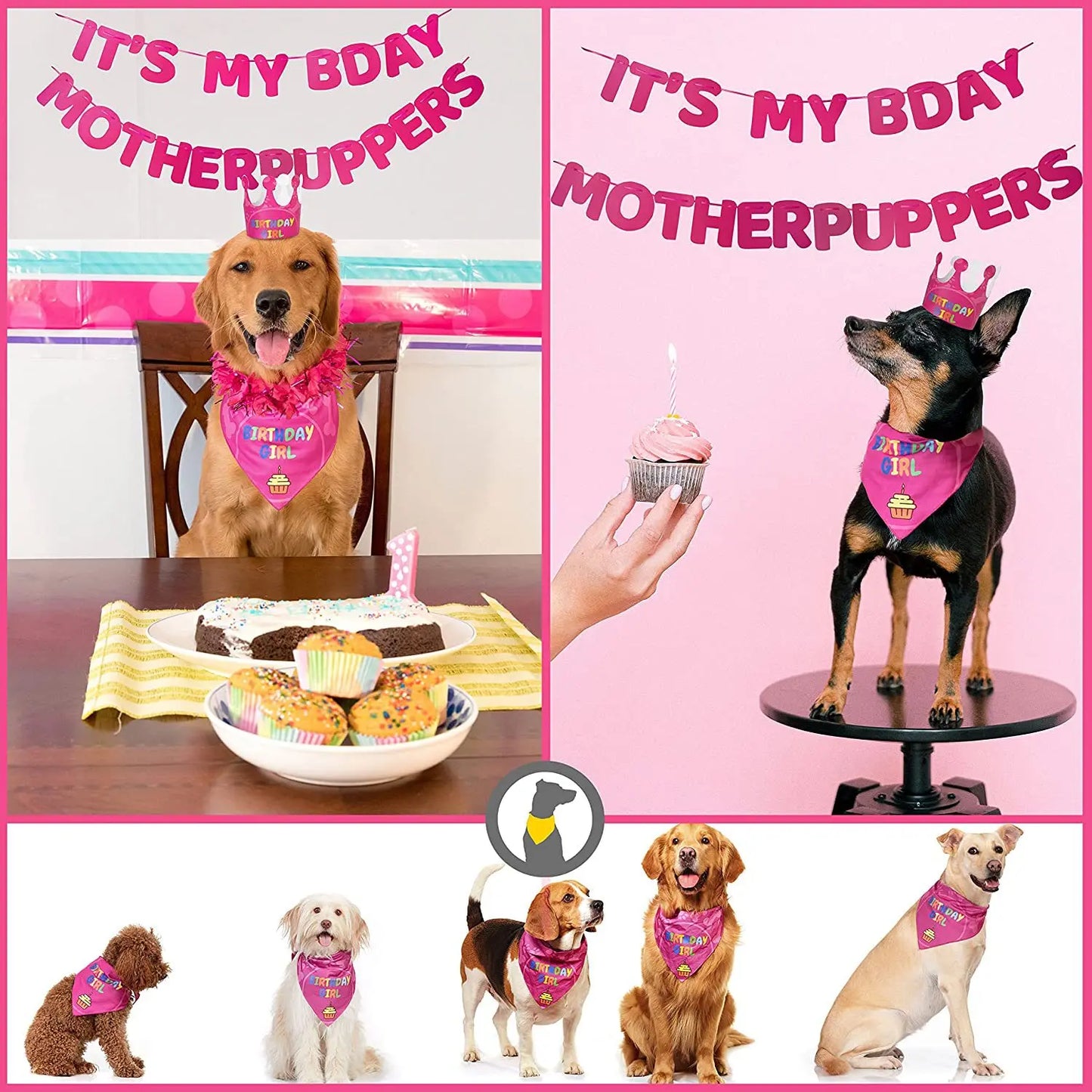 Pet Birthday Party Flag Decoration