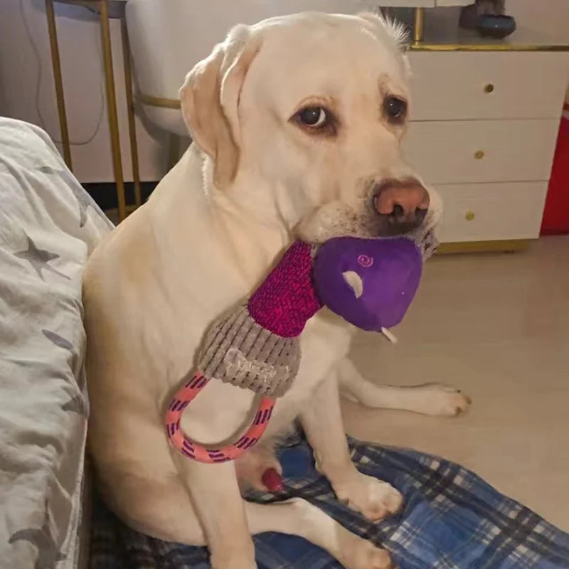 Dog Chew Toy with Handle